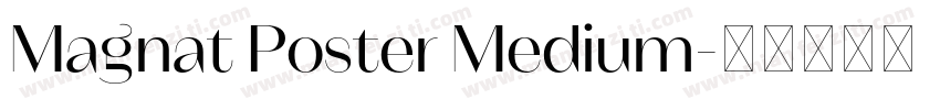 Magnat Poster Medium字体转换